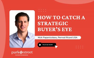 Nick Papanicolaou: How to Catch a Strategic Buyer’s Eye