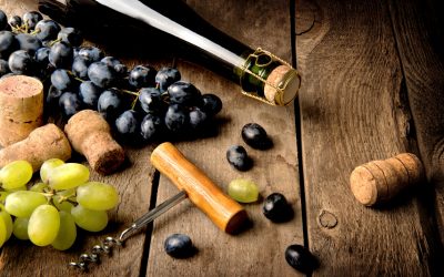 NZ wine exports hit record high driven by strong US sales